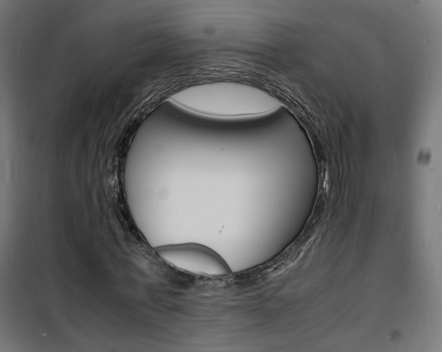 X0000101480771200807071242