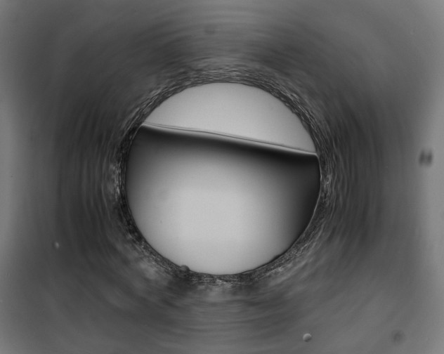 X0000101480772200807071242