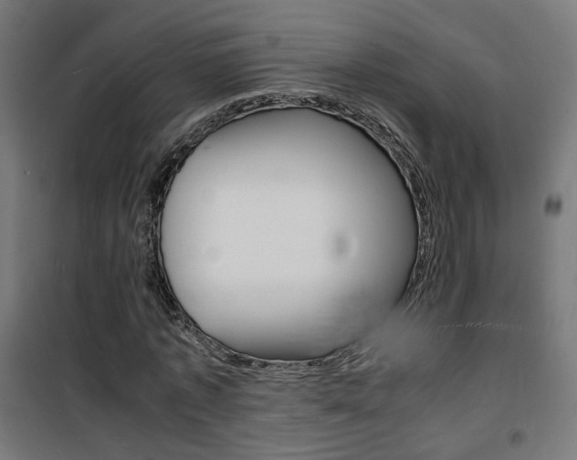 X0000101480773200807071242