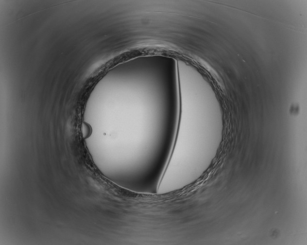 X0000101480775200807071242