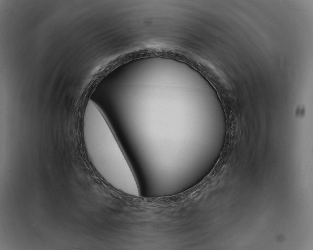 X0000101480776200807071242