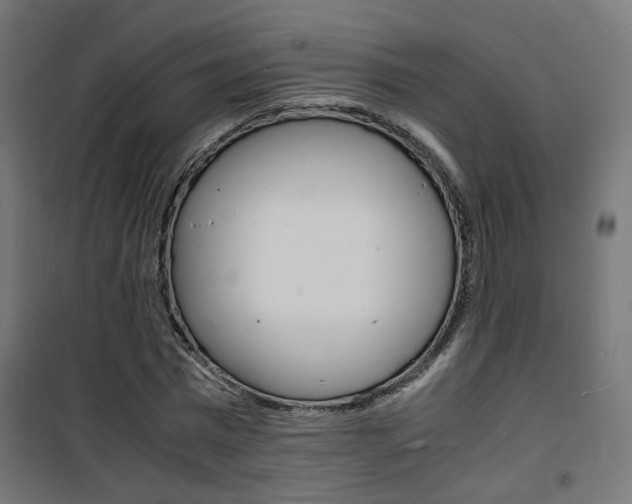 X0000101480777200807071242