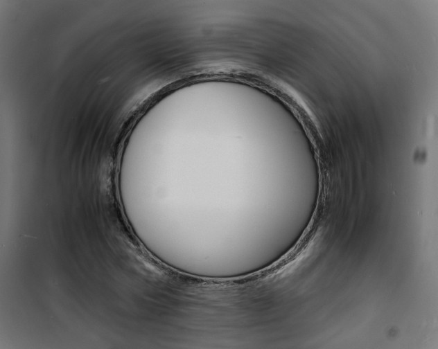 X0000101480778200807071242