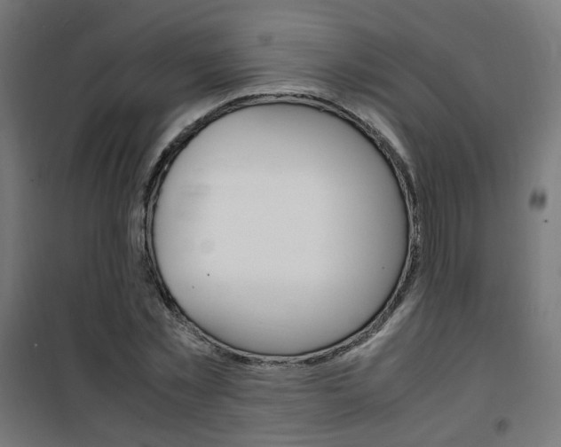 X0000101480781200807071242