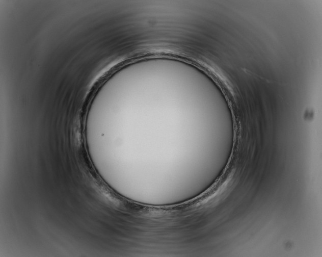 X0000101480782200807071242