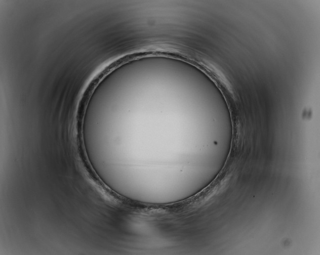X0000101480784200807071242