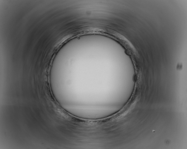 X0000101480785200807071242