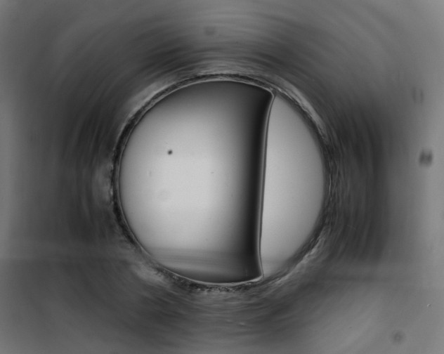 X0000101480786200807071242