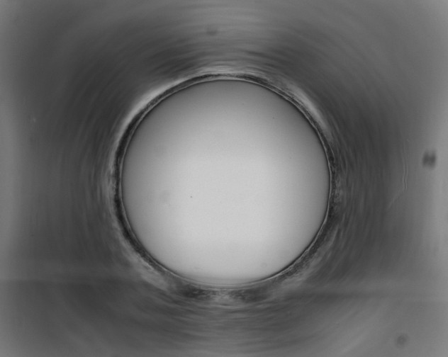 X0000101480787200807071242