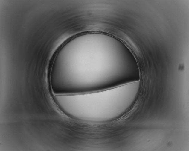 X0000101480788200807071242