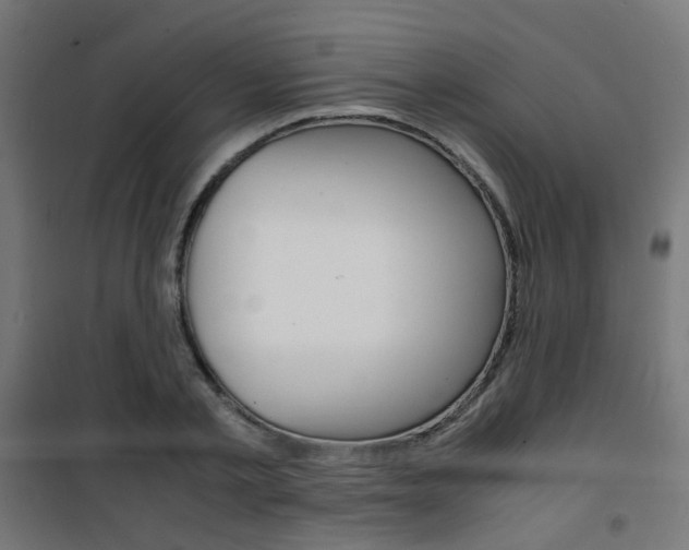 X0000101480789200807071242