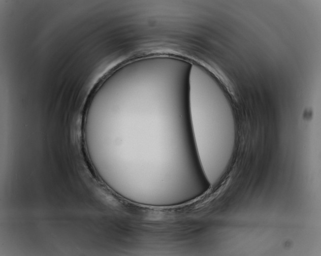X0000101480790200807071242