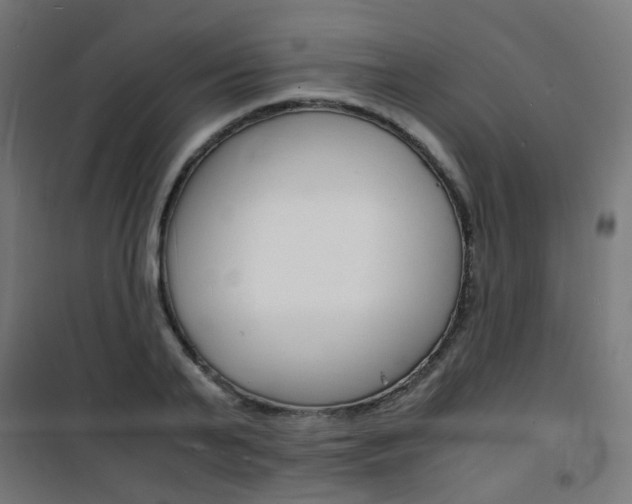 X0000101480791200807071242
