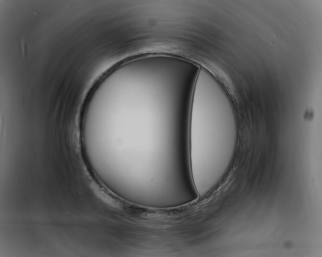 X0000101480792200807071242