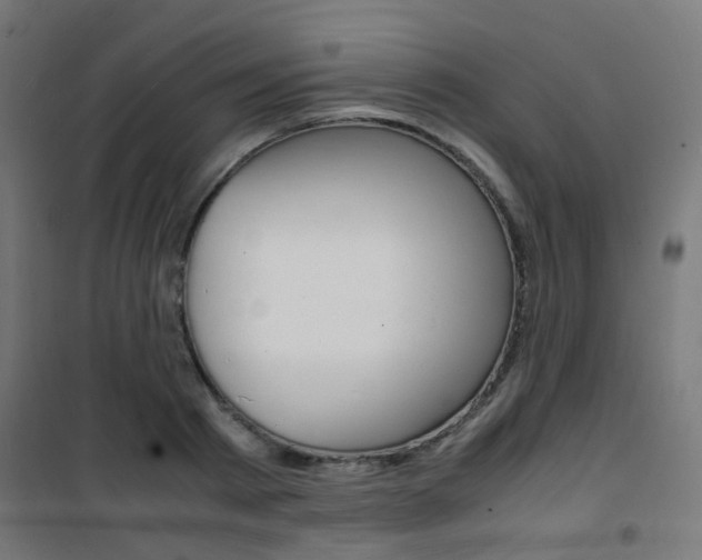 X0000101480793200807071242