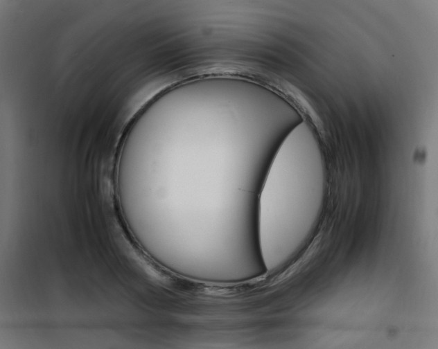 X0000101480794200807071242