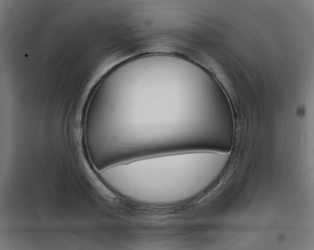 X0000101480795200807071242
