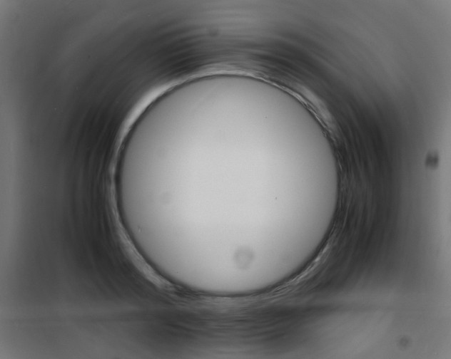 X0000101480796200807071242
