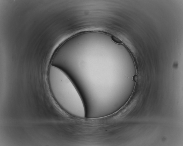 X0000101480797200807071242