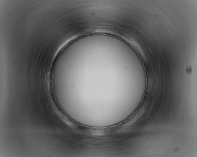 X0000101480798200807071242