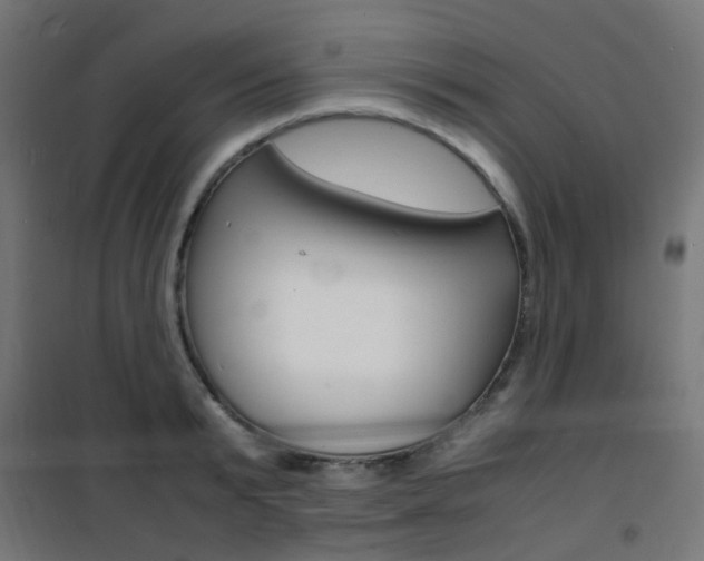 X0000101480799200807071242