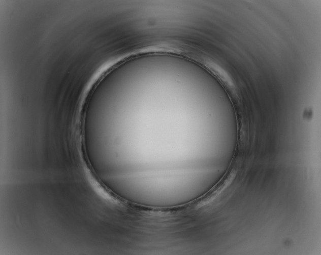 X0000101480800200807071242
