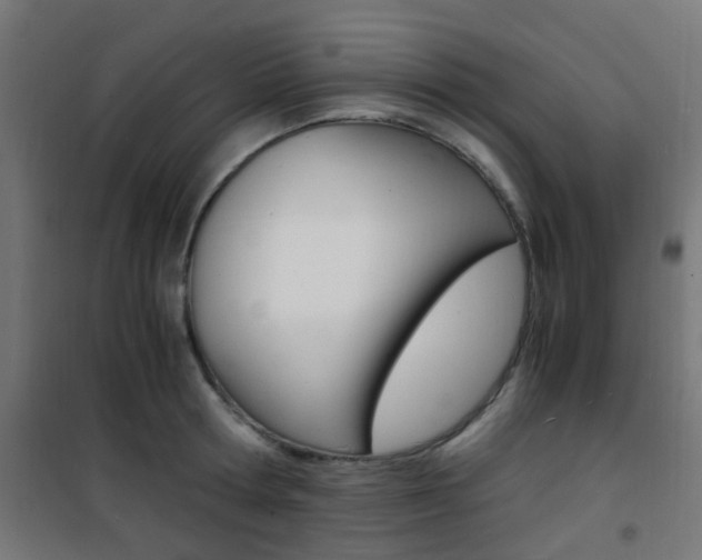 X0000101480802200807071242