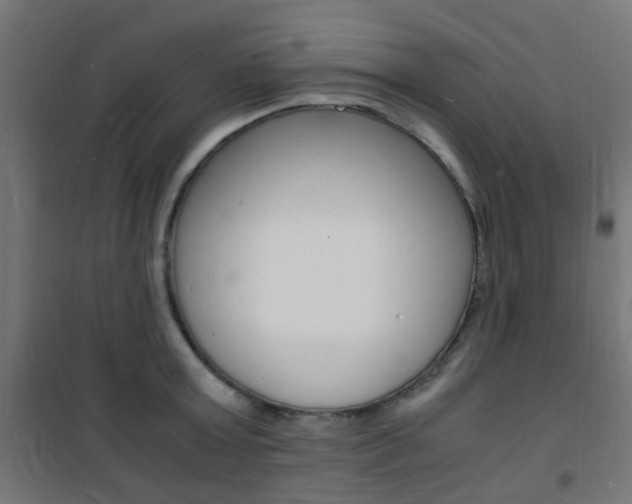 X0000101480803200807071242
