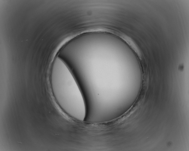 X0000101480805200807071242