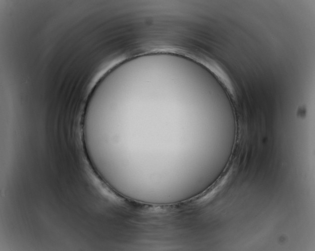 X0000101480806200807071242