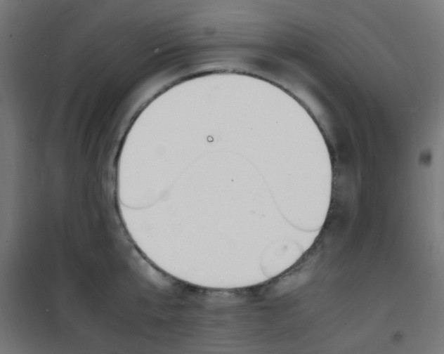 X0000101480807200807071242
