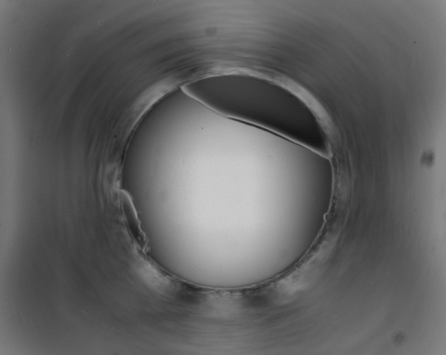 X0000101480809200807071242