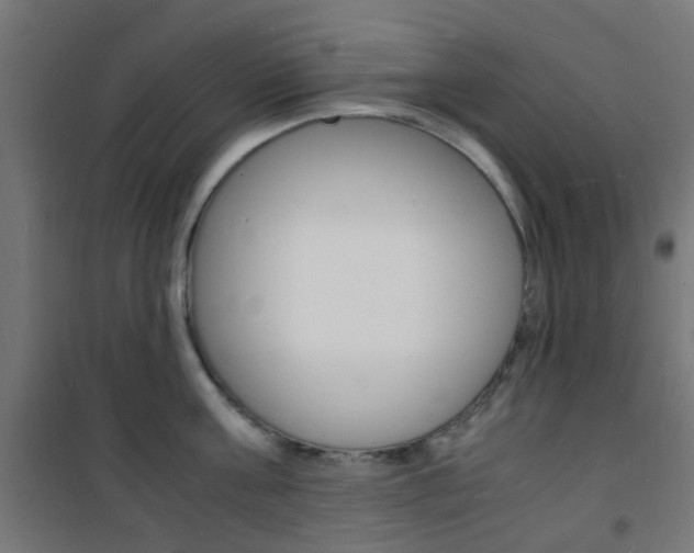 X0000101480811200807071242
