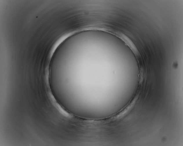 X0000101480812200807071242