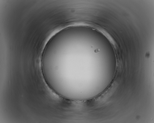 X0000101480813200807071241