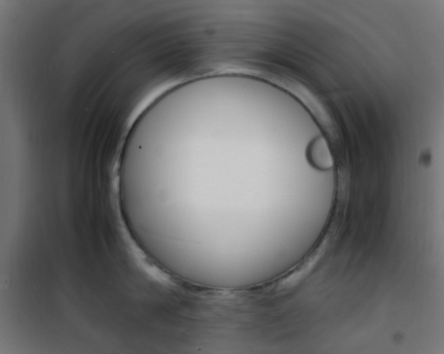 X0000101480814200807071241