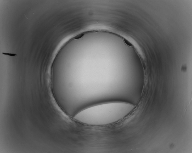 X0000101480815200807071241