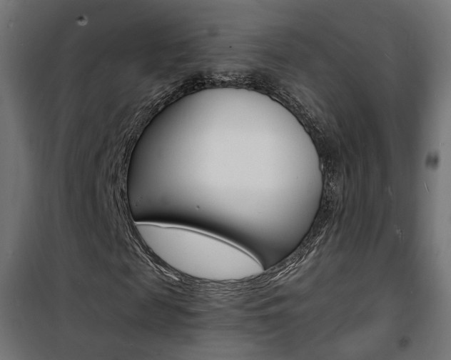 X0000101480817200807071241
