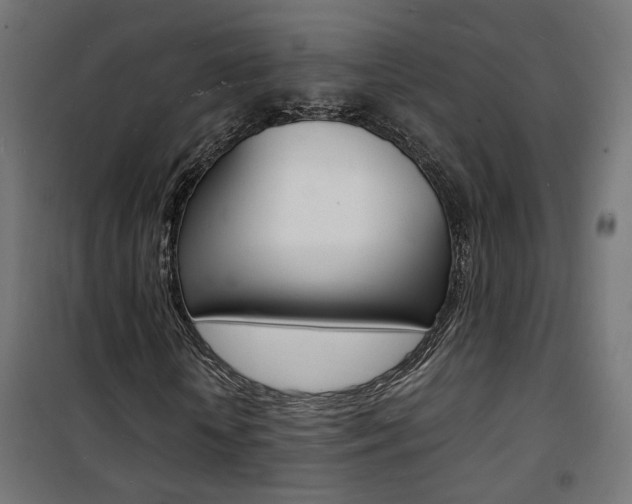 X0000101480818200807071241