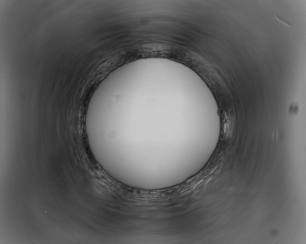 X0000101480819200807071241