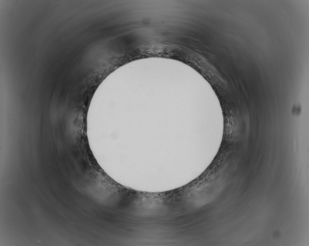 X0000101480820200807071241