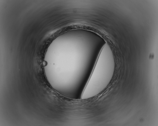 X0000101480822200807071241