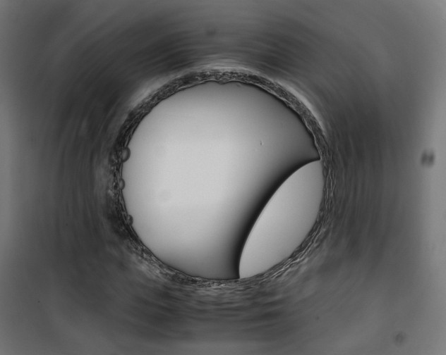 X0000101480823200807071241