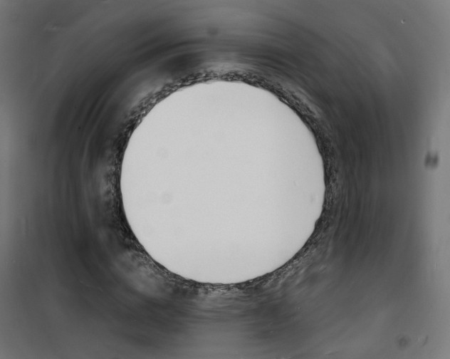 X0000101480824200807071241