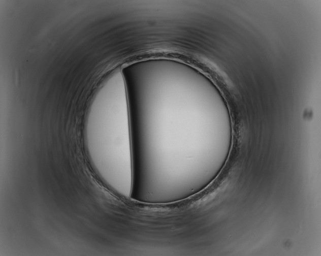 X0000101480825200807071241