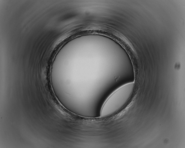 X0000101480826200807071241