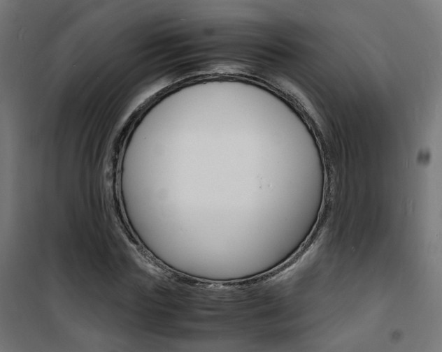 X0000101480827200807071241