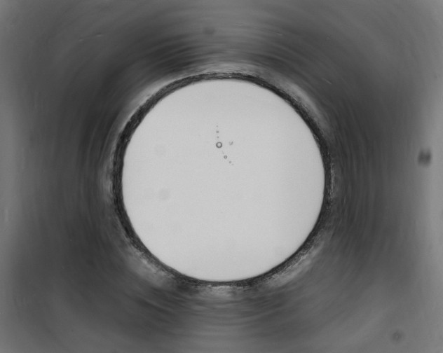 X0000101480828200807071241
