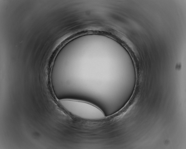 X0000101480829200807071241