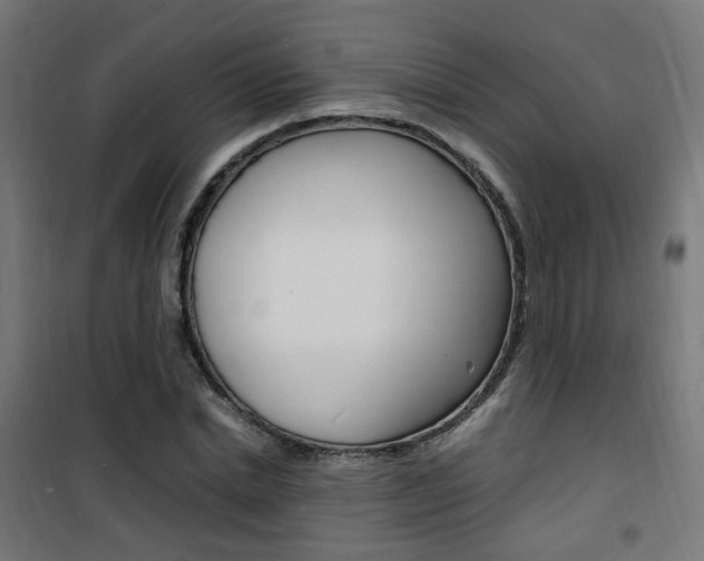 X0000101480830200807071241